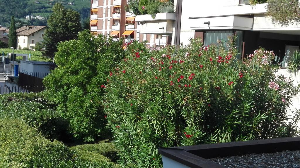 Camere Bolzano Da Glauco Luaran gambar